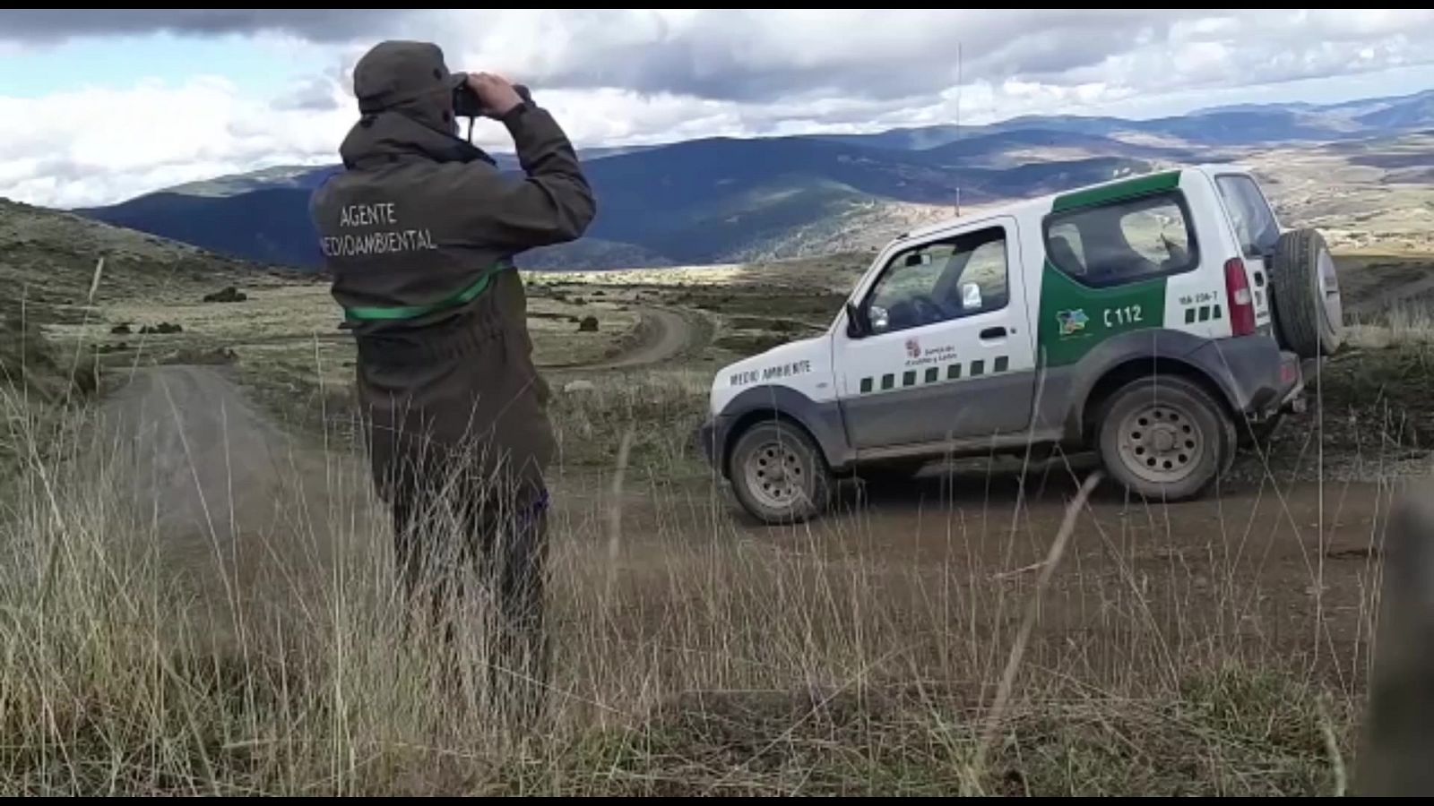 Aquí hay trabajo - 23/11/20 - ver ahora