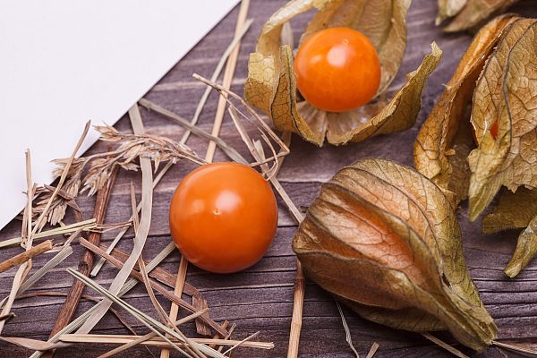 Aquí la Tierra - ¿Sabías que la physalis proviene de Perú?