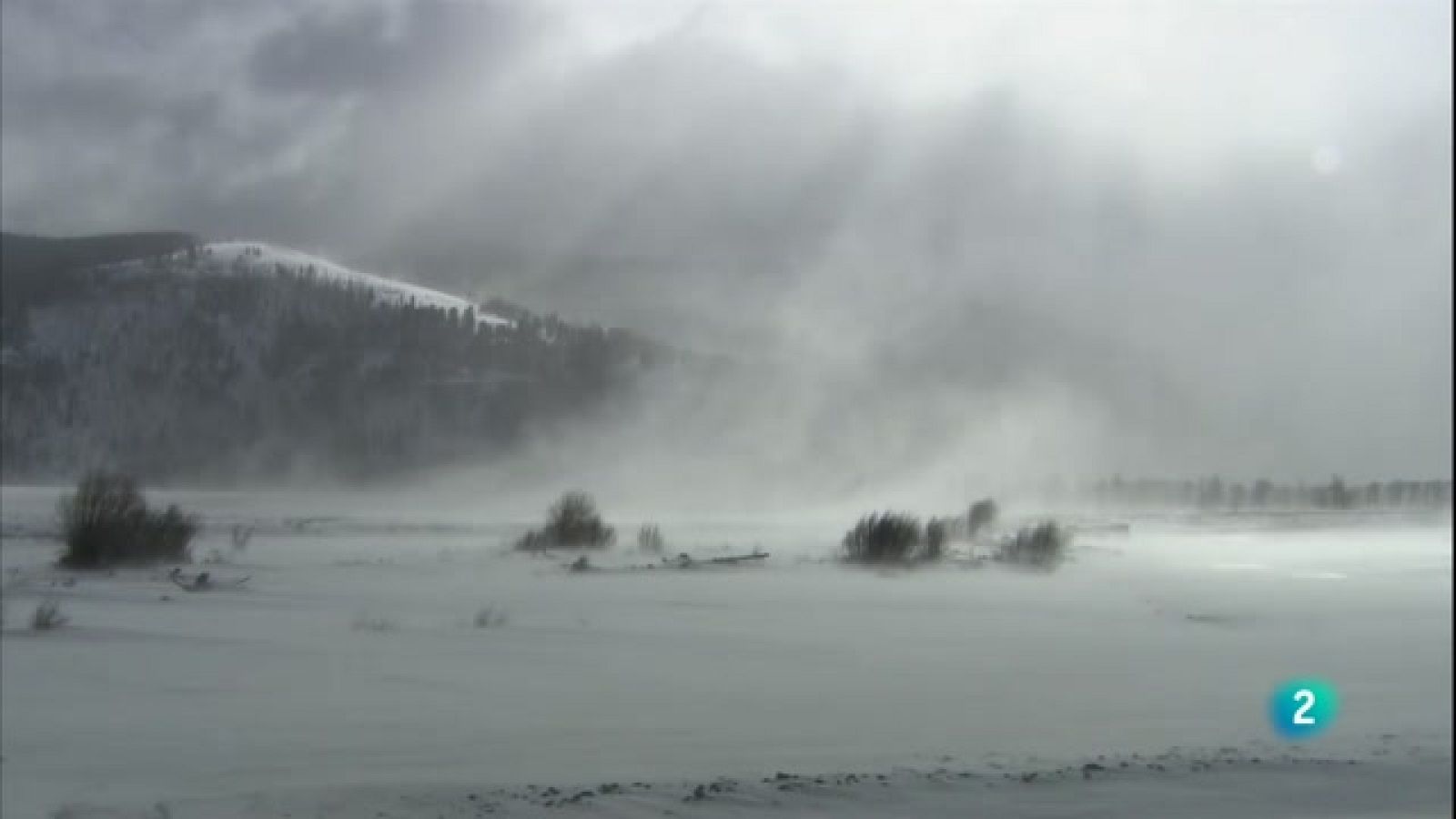 'Territori Grizzly' El documental revela alguns dels comportaments més sorprenents dels óssos grizzly, registrats durant deu anys al Parc Nacional de Yellowstone.