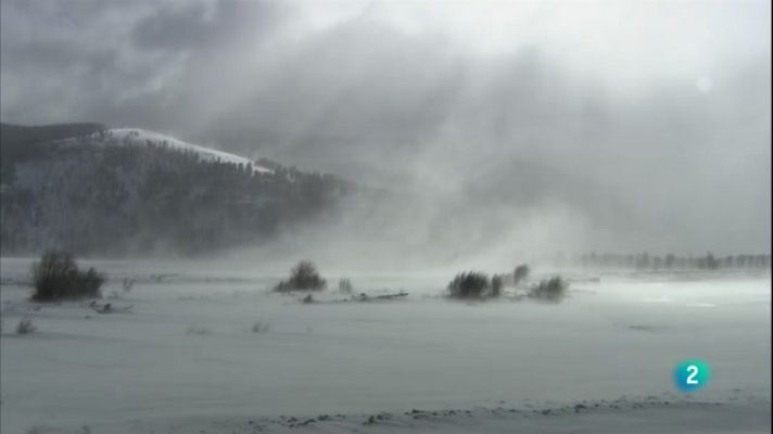 Som Documentals - Territori Grizzly