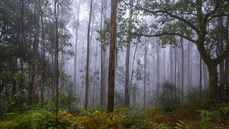 Precipitaciones persistentes en el extremo oeste de Galicia - Ver ahora