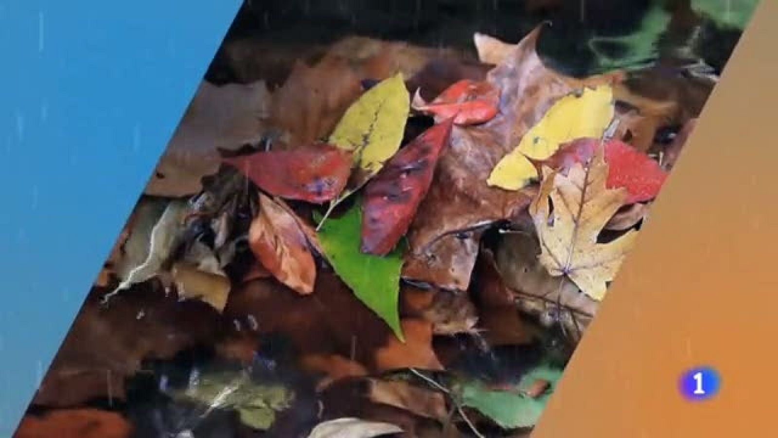 El tiempo en Castilla y León - 24/11/20