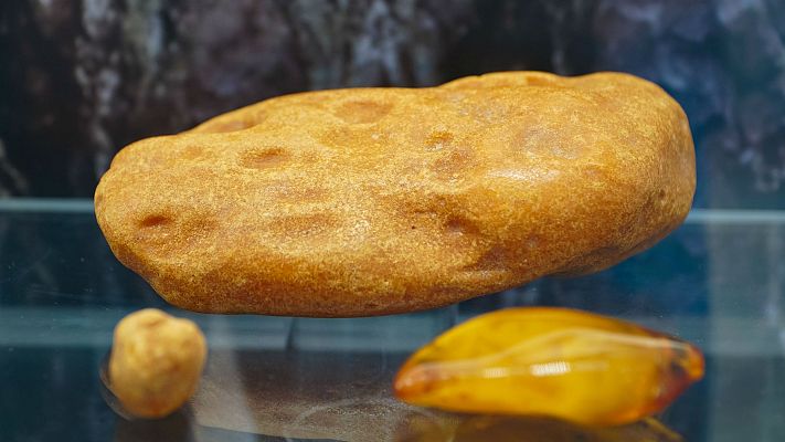 Telediario 1 - Dinosaurios fosilizados en ámbar localizados en Teruel