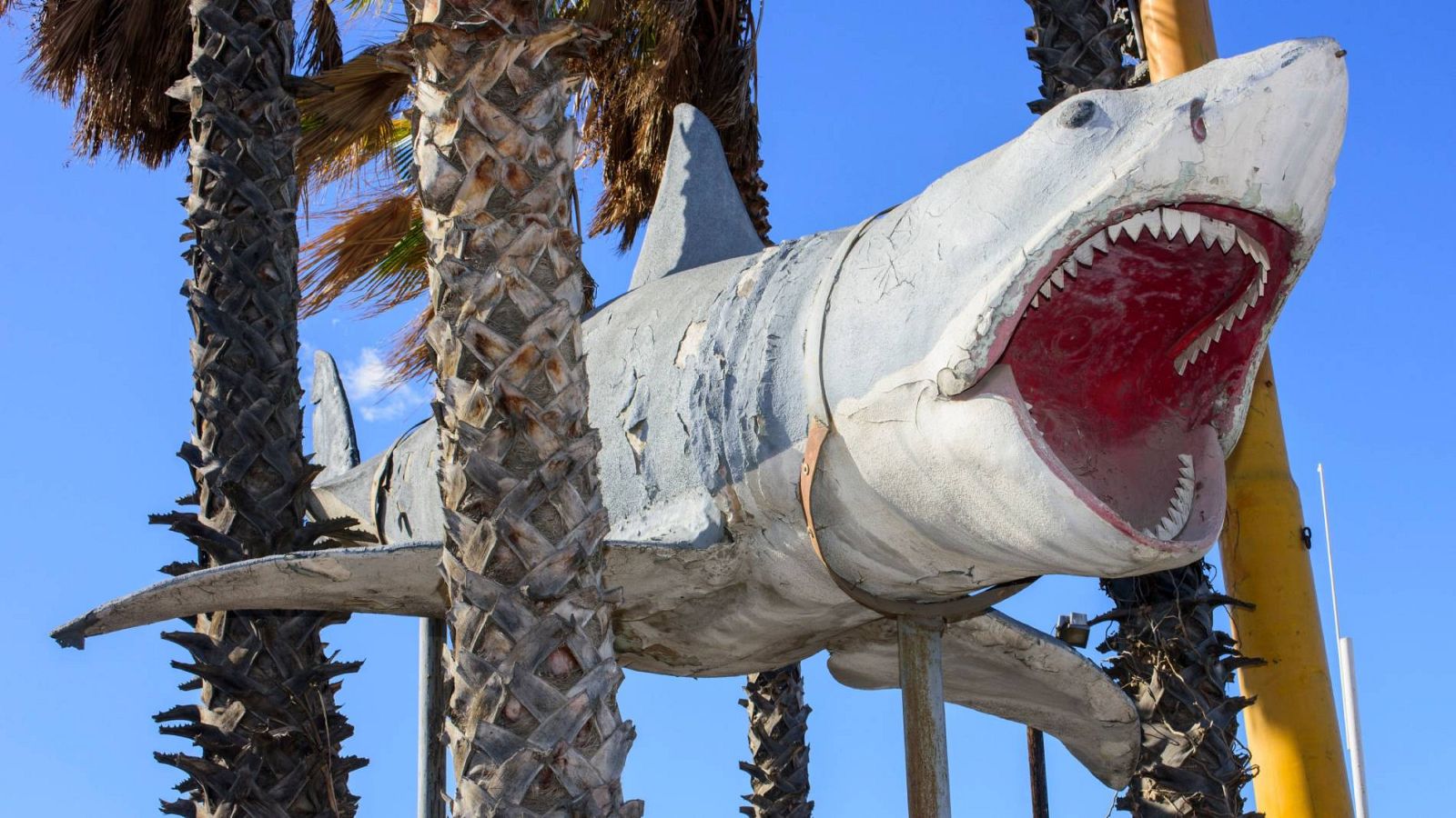 'Bruce', el tiburón de Spielberg, se expone en un museo de Los Ángeles