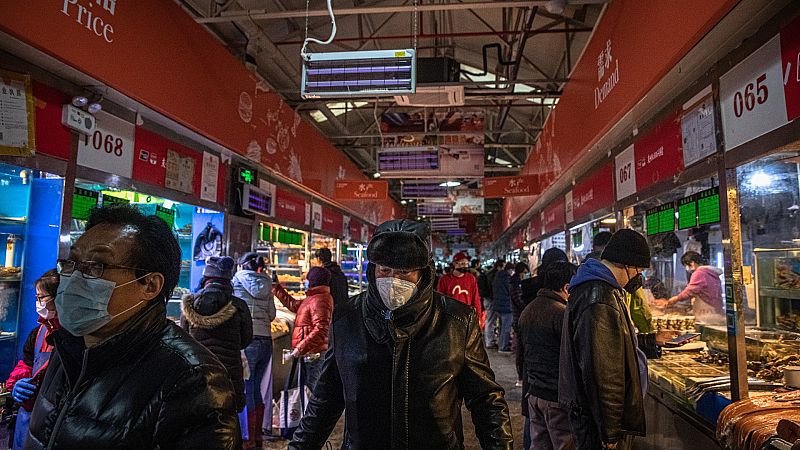 Los veterinarios alertan de futuras pandemias por el acceso a especies exóticas