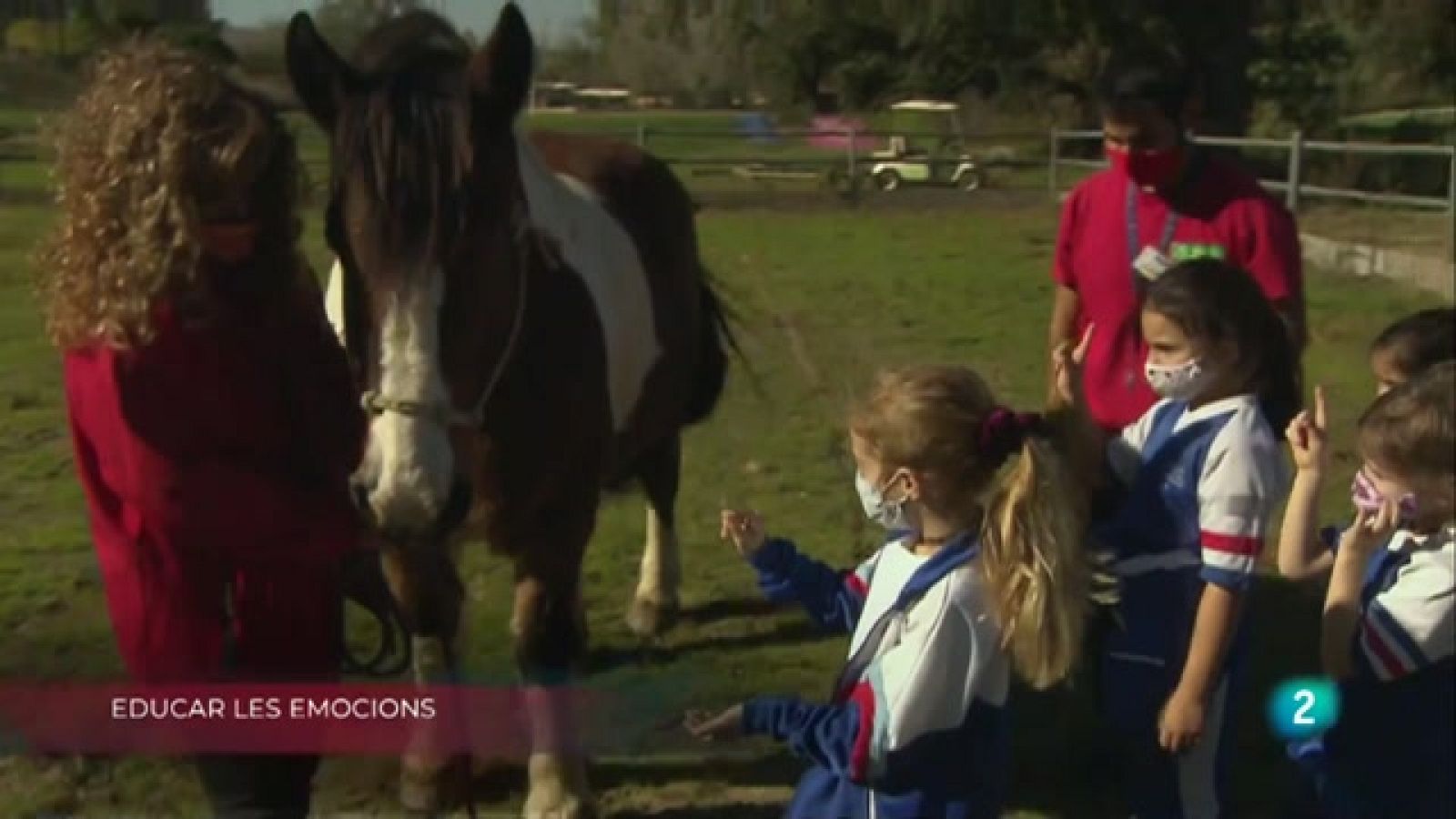 A La Metro coneixem com s'eduquen les emocions amb animals, els riders solidaris i un estudi sobre la bicicleta a la ciutat