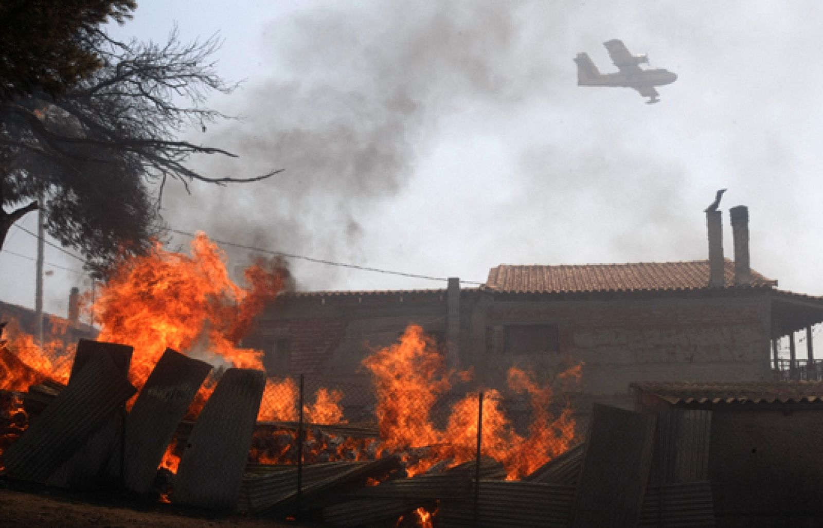 Los bomberos griegos han visto esta madrugada como sus esfuerzos empiezan a tener éxito | Ver