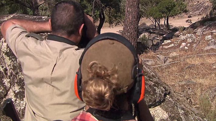 Jara y sedal - Pilar Escribano. La caza en las redes