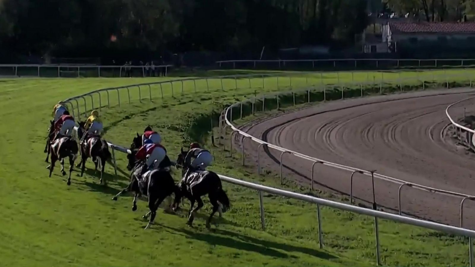Hípica - Circuito nacional de carreras de caballos - ver ahora