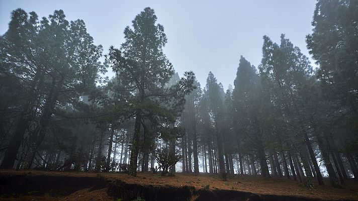 El tiempo - Precipitaciones localmente fuertes en Canarias