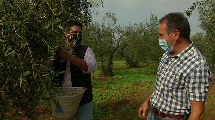 Aquí la Tierra - Aquí la Tierra - 29/11/20