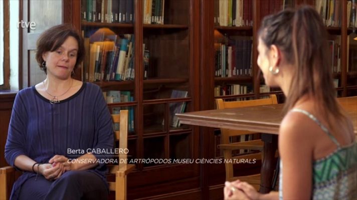 ¡Qué animal! - Entrevista a Berta Caballero