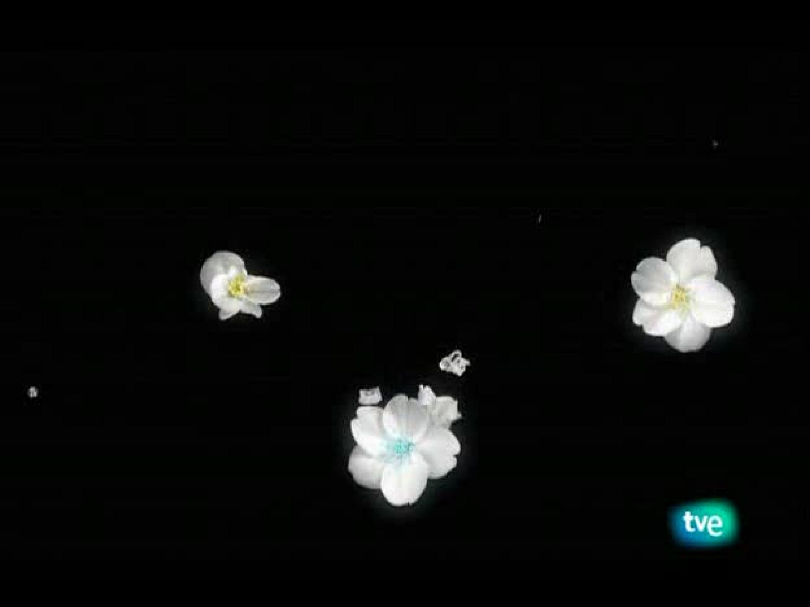 El jardín de los sueños - El Jardín de los Sueños | Ver