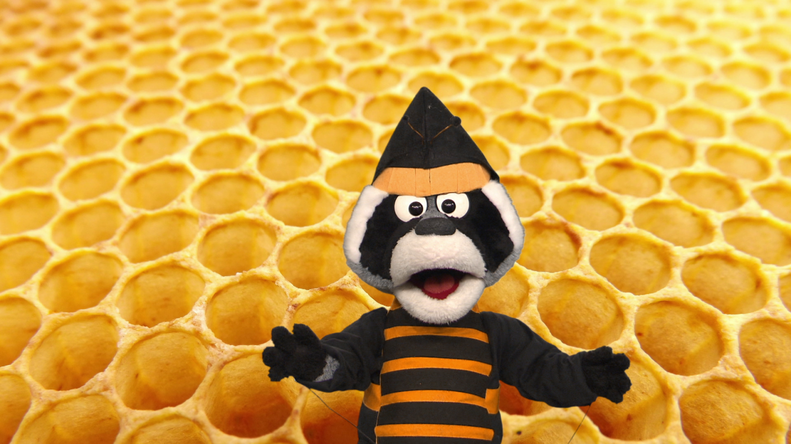 Aprendemos en Clan - 'Está mapachando'...Traje colmenero y más - RTVE.es - Aprendemos en Clan | Ver