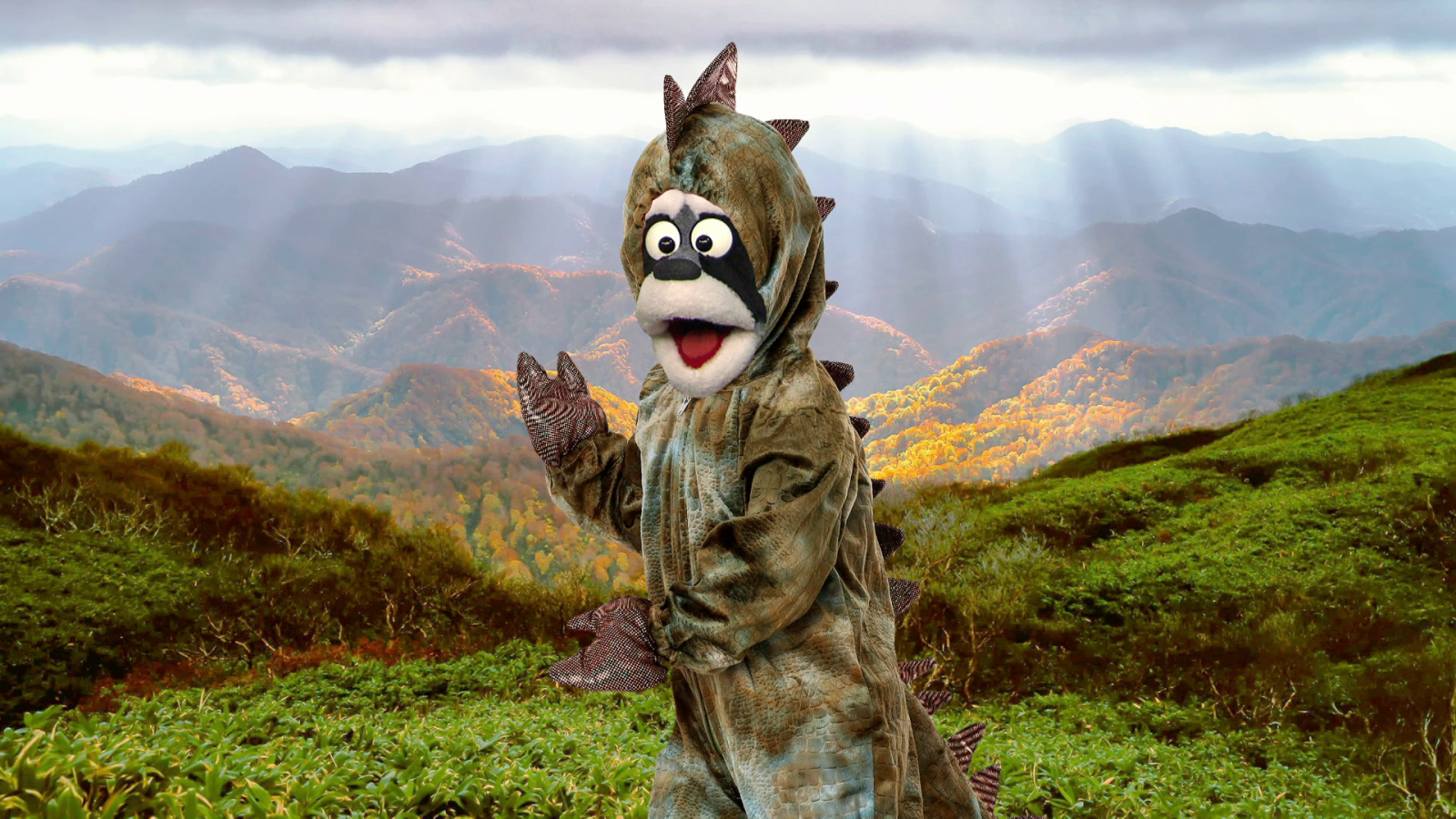 Aprendemos en Clan - 'Está mapachando'...Mapachesaurus y mucho más - RTVE.es - Aprendemos en Clan | Ver