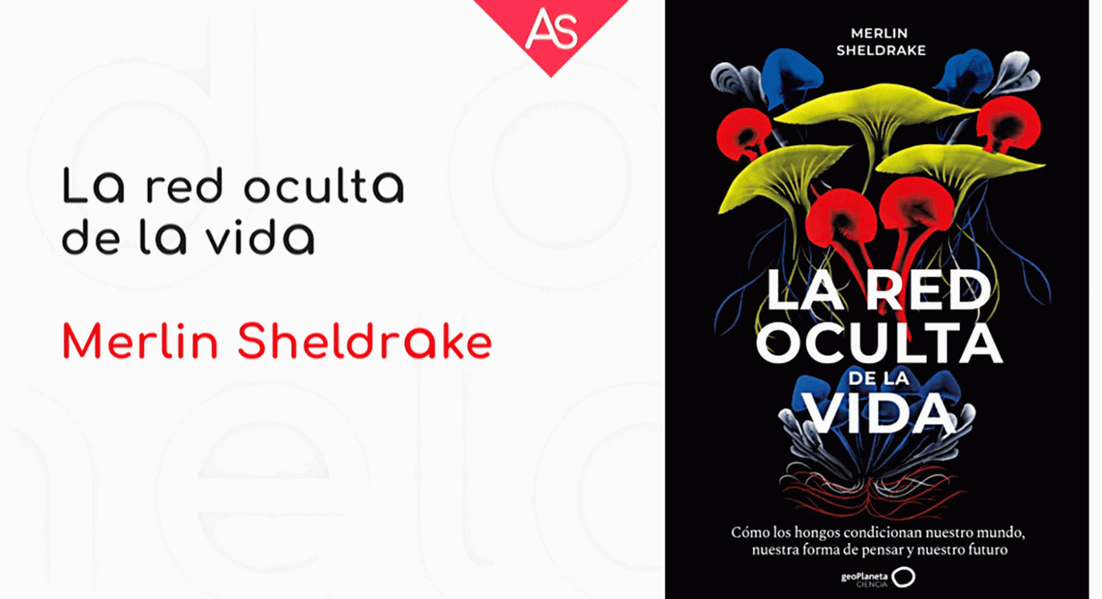La aventura del saber estudio 'La red oculta de la vida' Merlin Sheldrake Ecologia Tropical Cambridge #AventuraSaberLibros