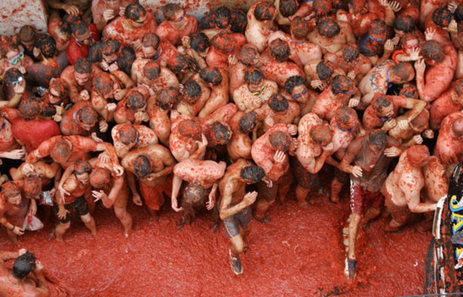 La 'Tomatina' de Buñol congrega a más 40.000 personas