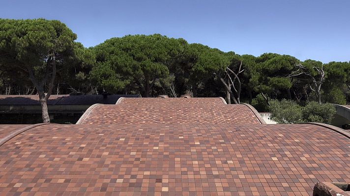 Escala humana - En manos del tiempo