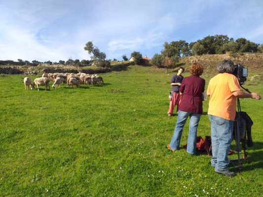 Para todos La 2 - Prevención de incendios y Rebaños de fuego