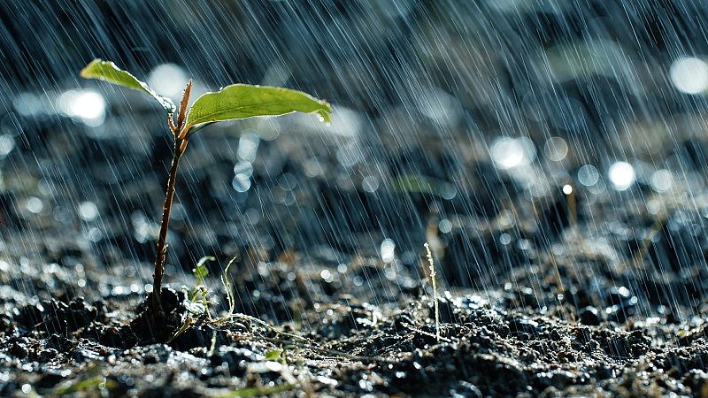 Chubascos localmente fuertes en la isla de la Palma - Ver ahora