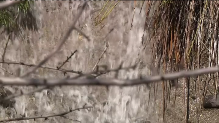 Telecanarias - Telecanarias 2 - 03/12/2020