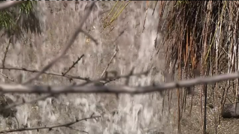 Telecanarias 2 - 03/12/2020