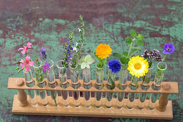 Aquí la Tierra - Un laboratorio rural