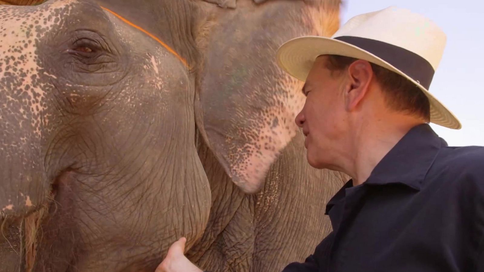 Grandes viajes ferroviarios continentales - De Jodhpur a Delhi - ver ahora