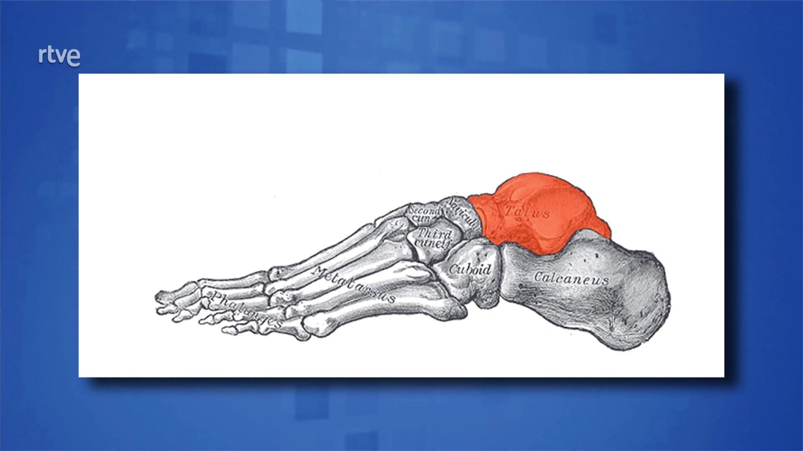 Saber y ganar. Edición de fin de semana - 06/12/20 - ver ahora