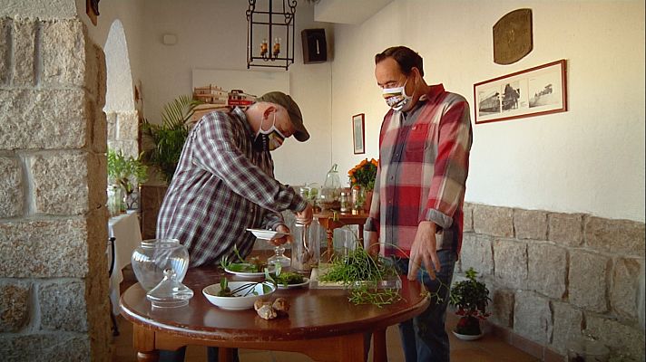 Aquí la Tierra - Microclimas en tarros de cristal