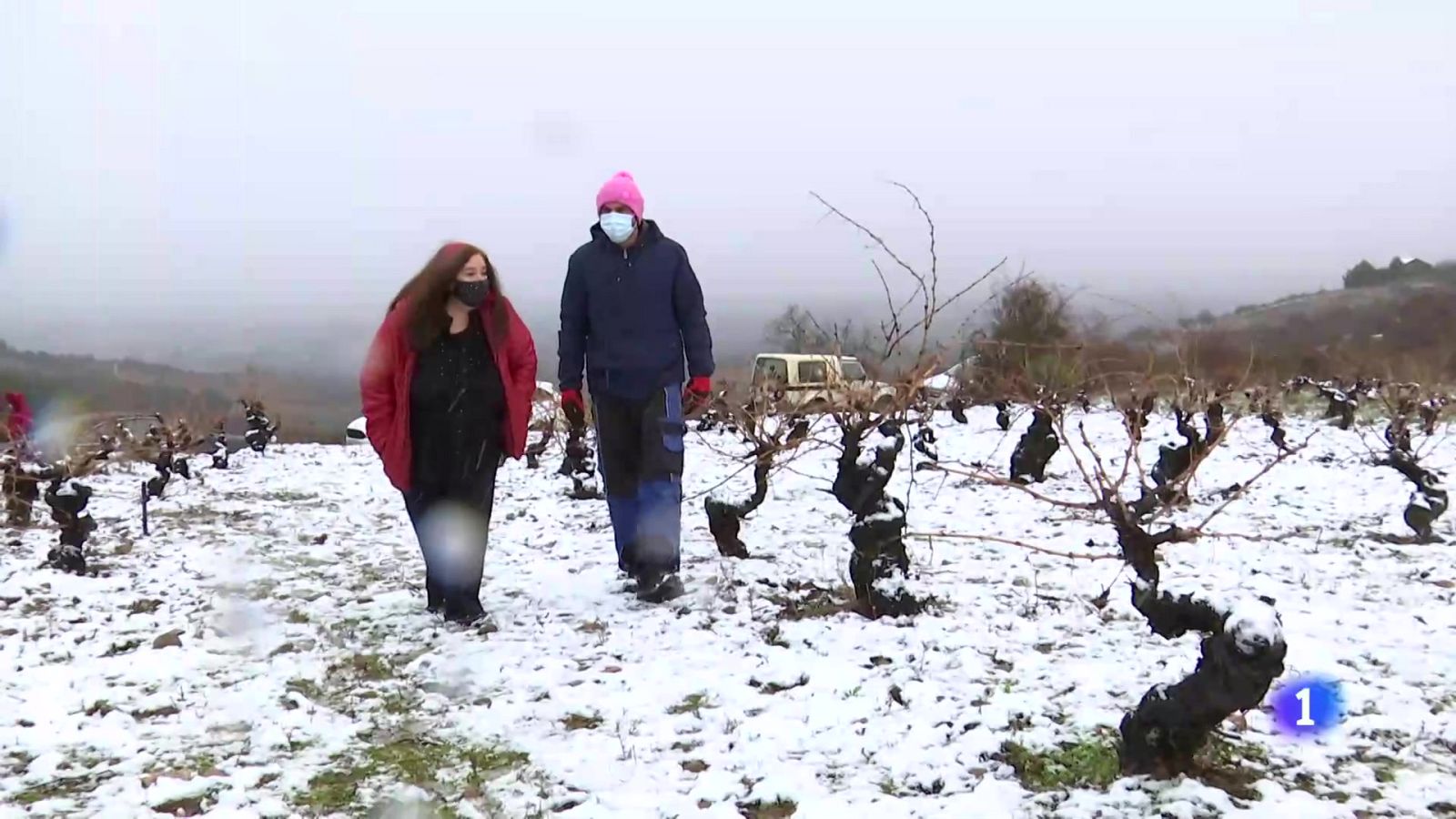 Banco de Tierras, la exitosa iniciativa de El Bierzo para evitar el abandono y la despoblación