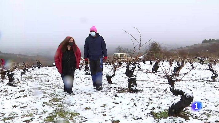 Telediario 1 - 'Banco de Tierras', la exitosa iniciativa de El Bierzo para evitar el abandono y la despoblación