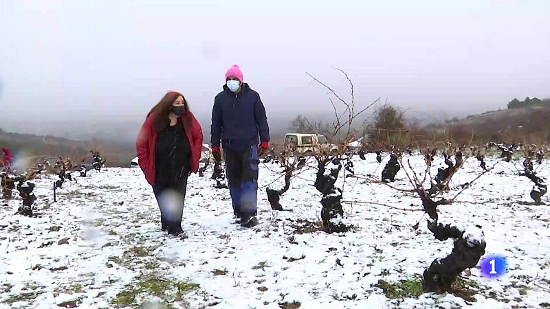 Banco de Tierras, la exitosa iniciativa de El Bierzo para evitar el abandono y la despoblacin