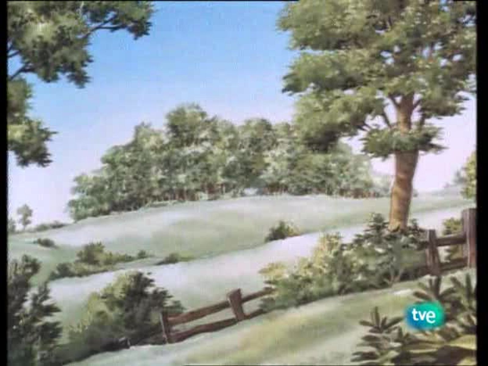 Los animales del bosque | Ver