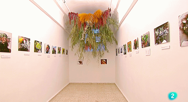 La aventura del Saber - Galerías 2020. La cárcel de Segovia, centro de creación