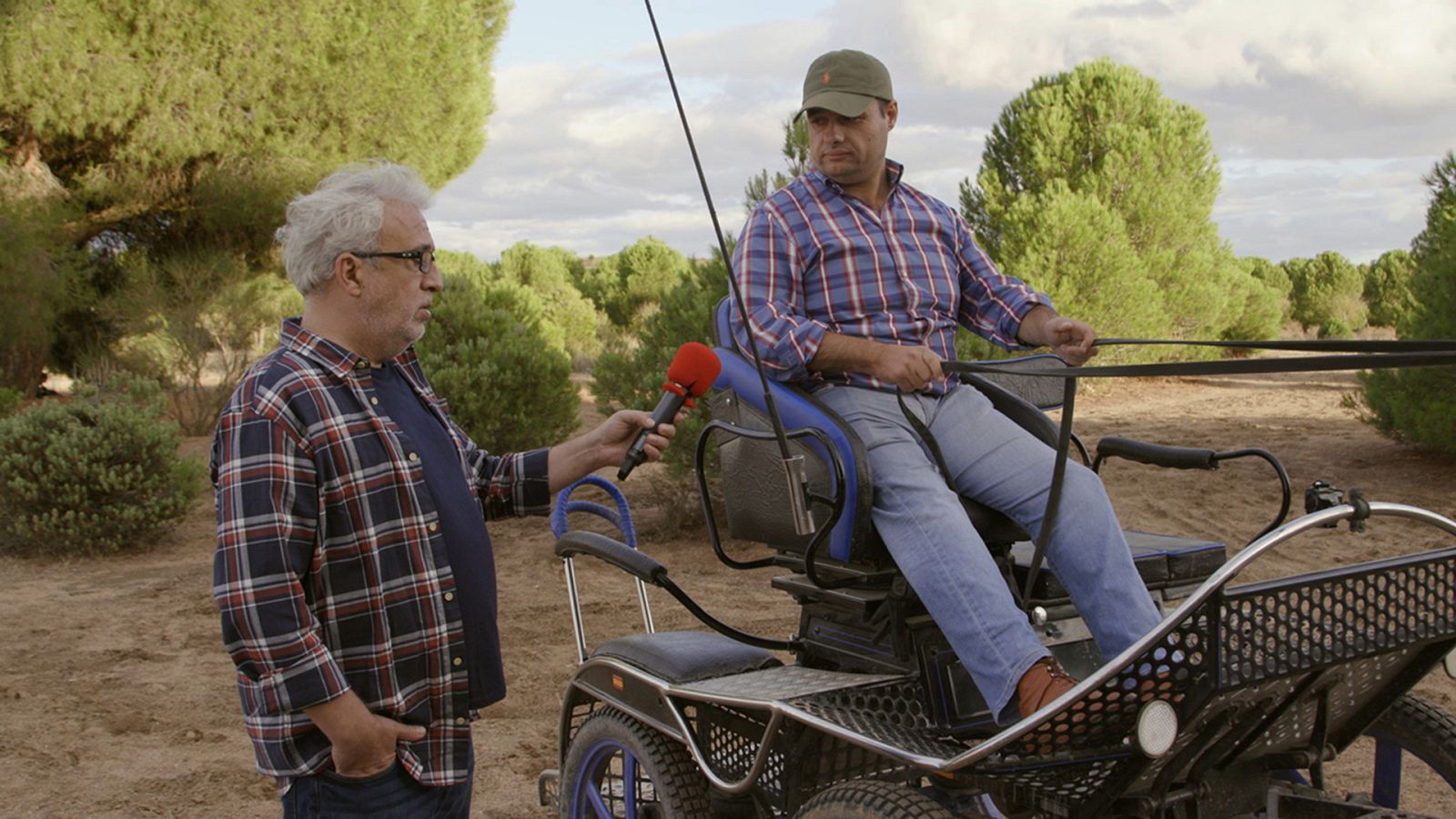 El paisano - Alaejos - ver ahora