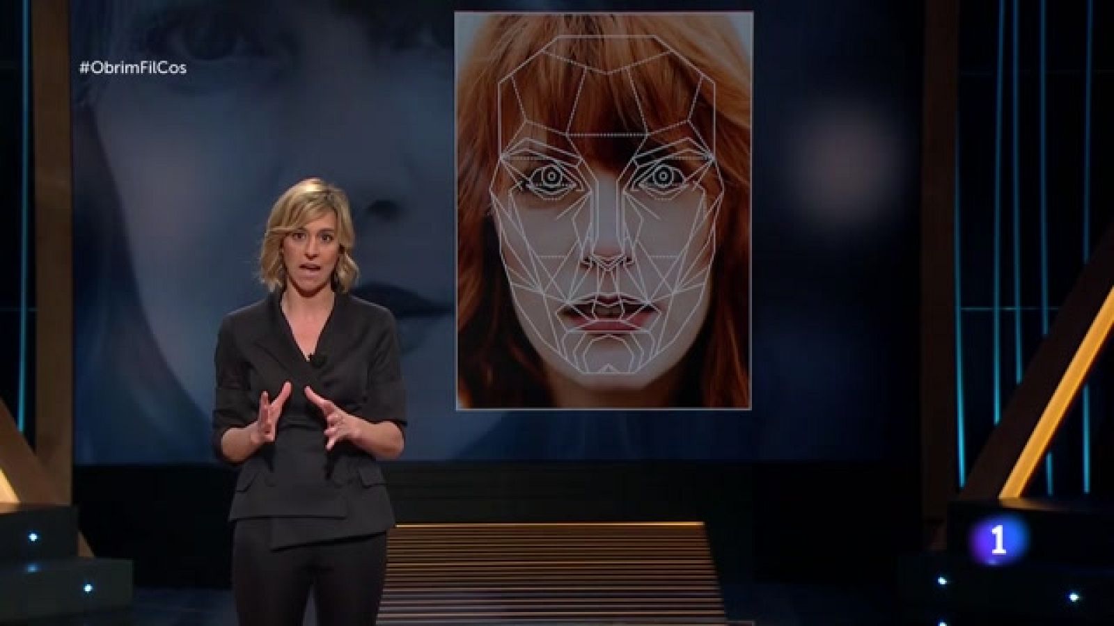 Obrim fil - El cervell i la percepció de la bellesa