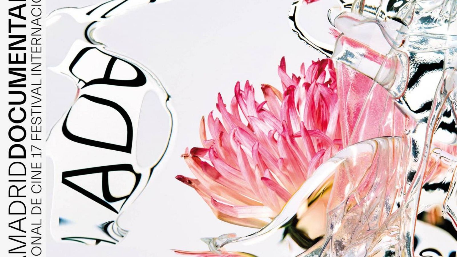 Documenta Madrid 2020