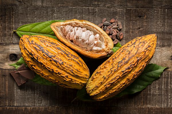 Aquí la Tierra - Aquí La Tierra - La casita de cacao vasca