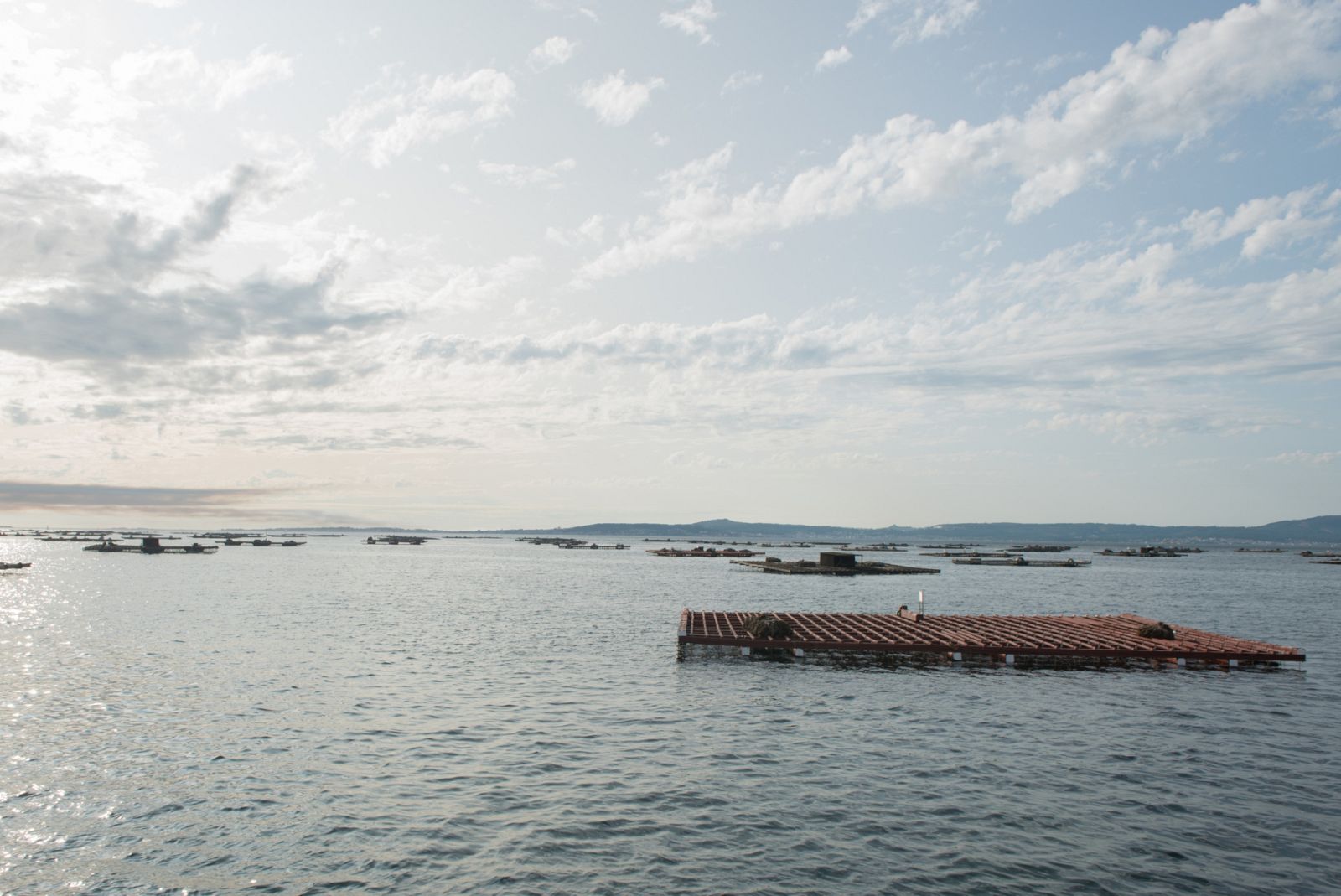 Aquí la Tierra - Conocemos en Pontevedra qué son las bateas