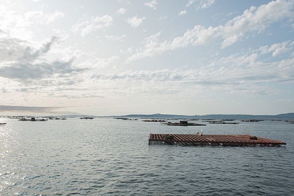 Aquí la Tierra - Conocemos en Pontevedra qué son las bateas