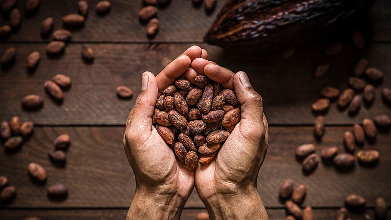 Aquí la Tierra - 11/12/20 - ver ahora