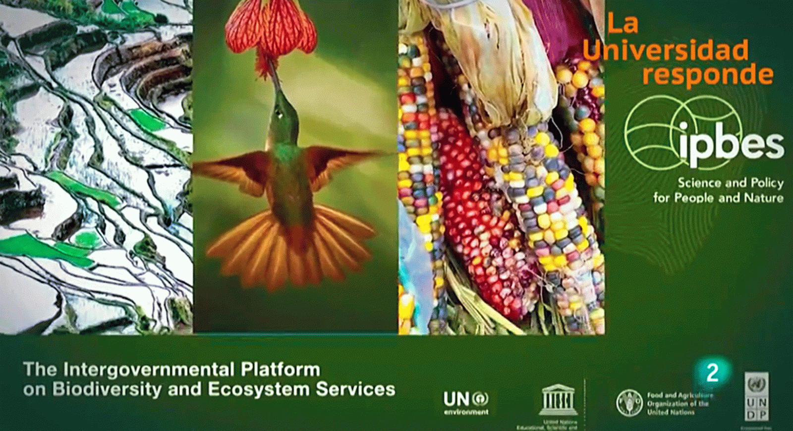 La aventura del saber Que es la IPBES Almería Universidad Responde #AventuraSaberUResponde