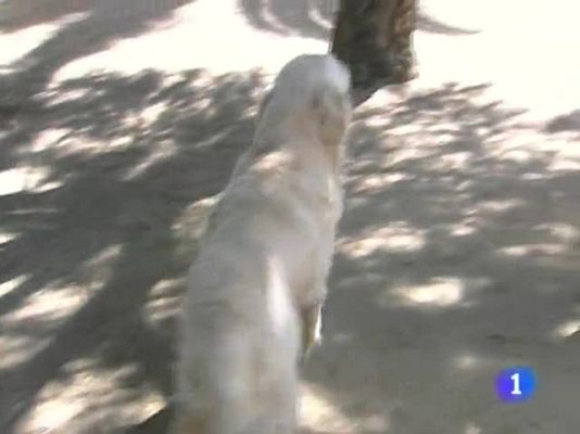 Noticias de Extremadura - Noticias de Extremadura - 27/08/09