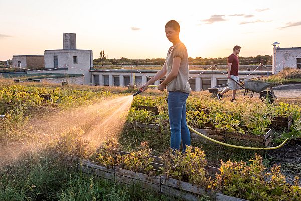 España Directo - Huertos urbanos... que salvan vidas