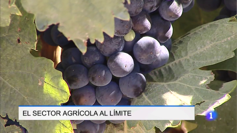 Informativo Telerioja 2 - 17/12/20