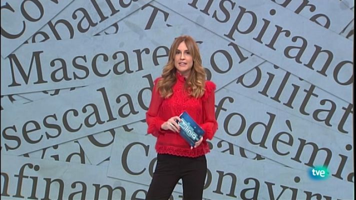 En Línia - Notícies de l'any, amor i odi al Nadal i neologis