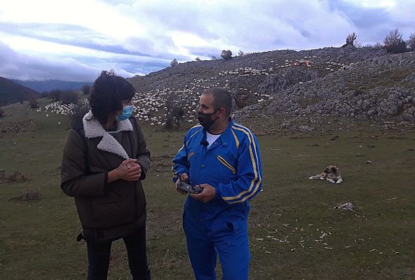 Aquí la Tierra - ¿Cómo se llevan ovejas y drones?