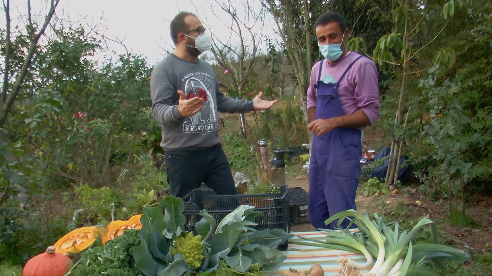 Aquí la Tierra - Verdura del País Vasco... ¡para el mundo!