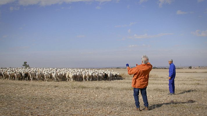 El paisano - Alcalá del Júcar